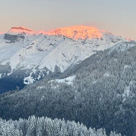 Samoens 1600 Les Cimes Apartment Bagian luar foto